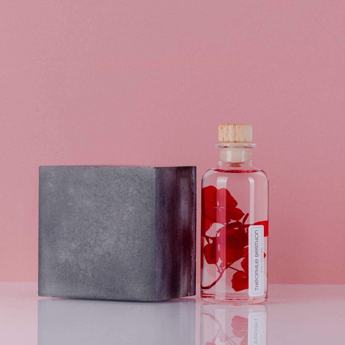 Theophile Berthon - Vente Plante - L'Herbarium Hortensia rouge Passion éternel7