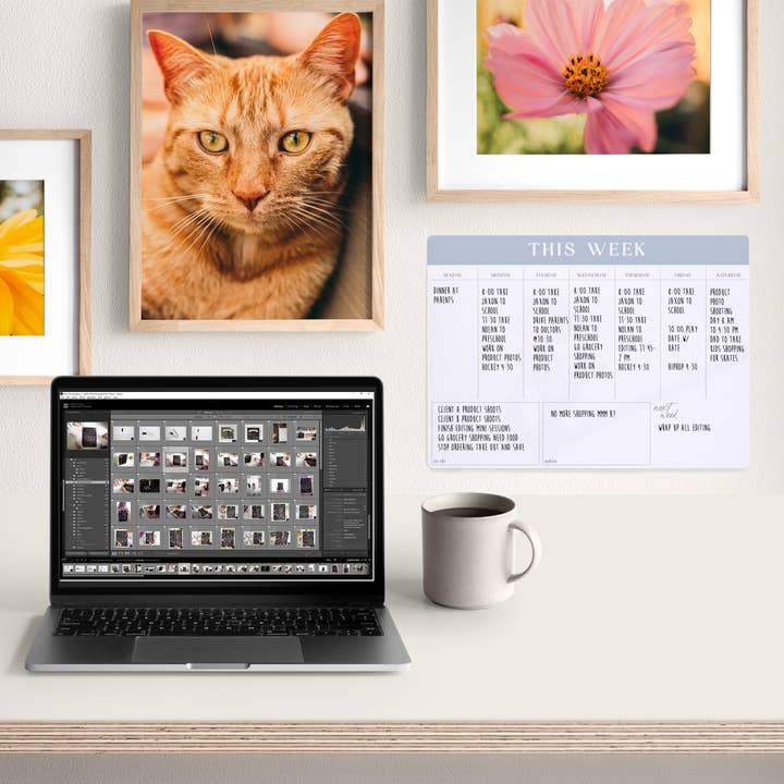 Weekly Planner Reusable Dry Erase Whiteboard for wholesale by Beyond Measure Boards