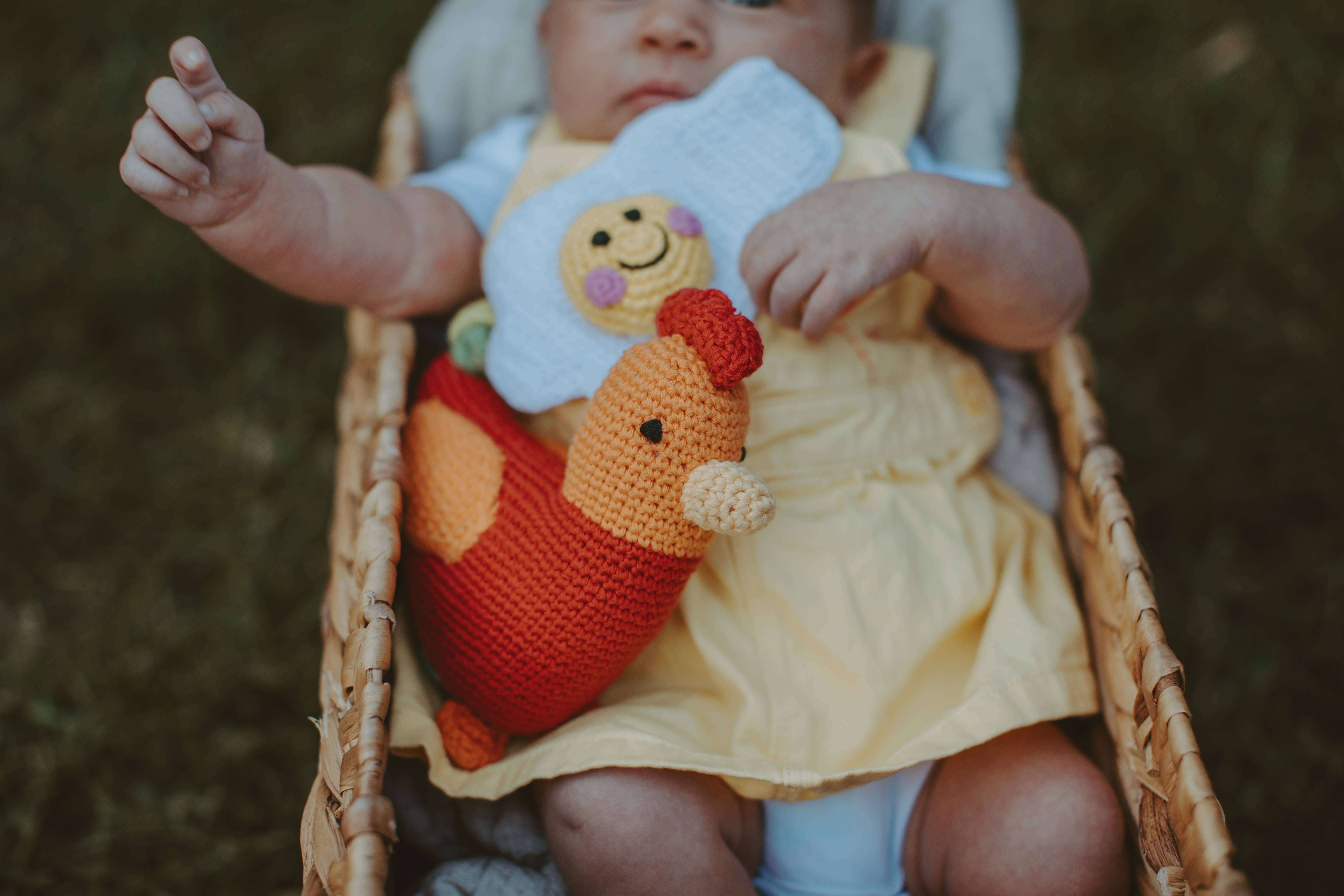 Pebblechild – wholesale Handheld rattle – Baby – Crochet Baby Toy Rooster rattle-red2