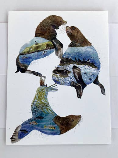 STELLER SEA LION WHALE ROCKS HABITAT NOTECARD for wholesale by Jill Bliss Artwork