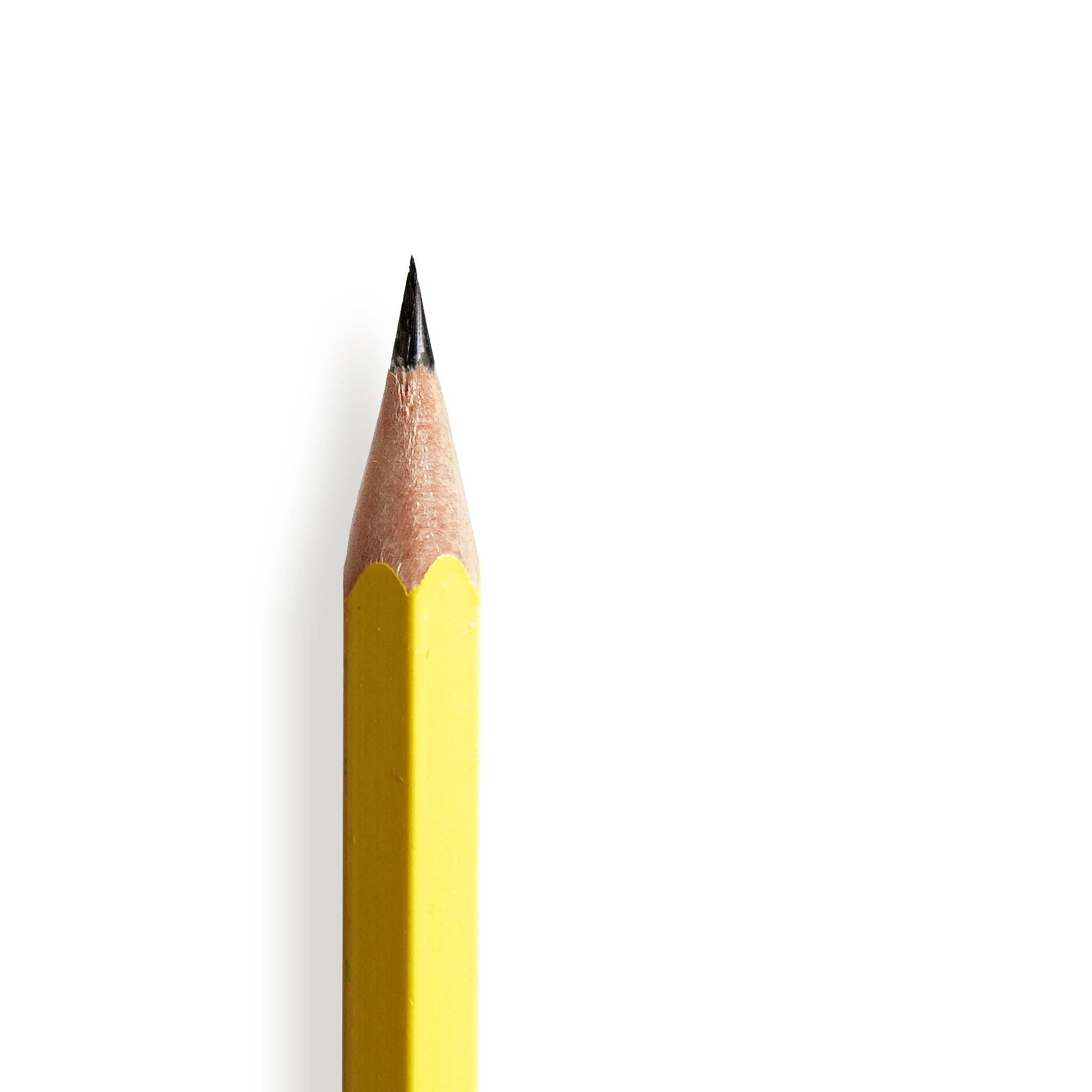 Odd Goose Stationery – wholesale Pencil – The Odd Goose Pencil - Handmade Giftable Retro Style Box4