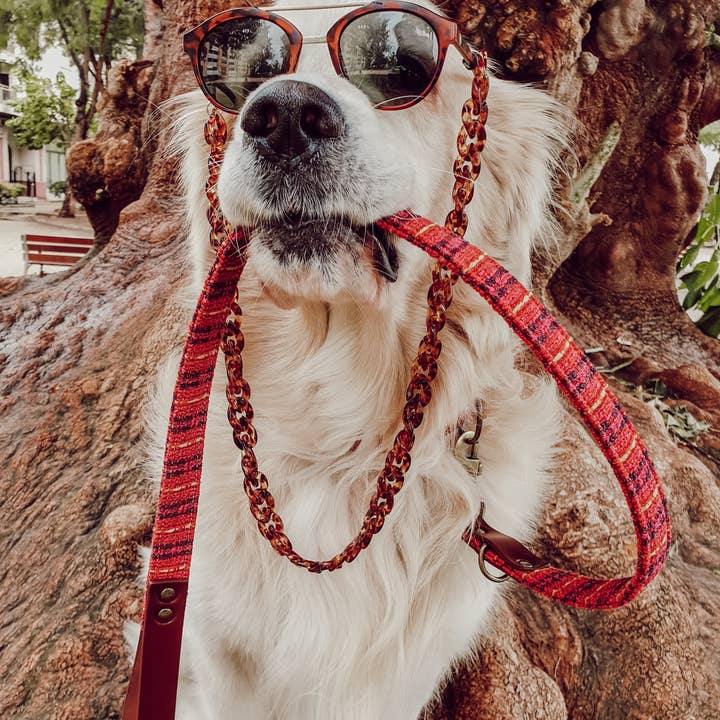 Correa Luca for wholesale by Ladran Gaucho