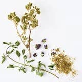 La Boîte - Wholesale Dried Spice - Oregano, Mediterranean - toasty, minty, and peppery spice1