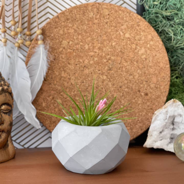 AURA 8 Art Boutique - Wholesale Plant Pot - Geometric Air Plant Holder, Small Plant, Mini Succulent Pot