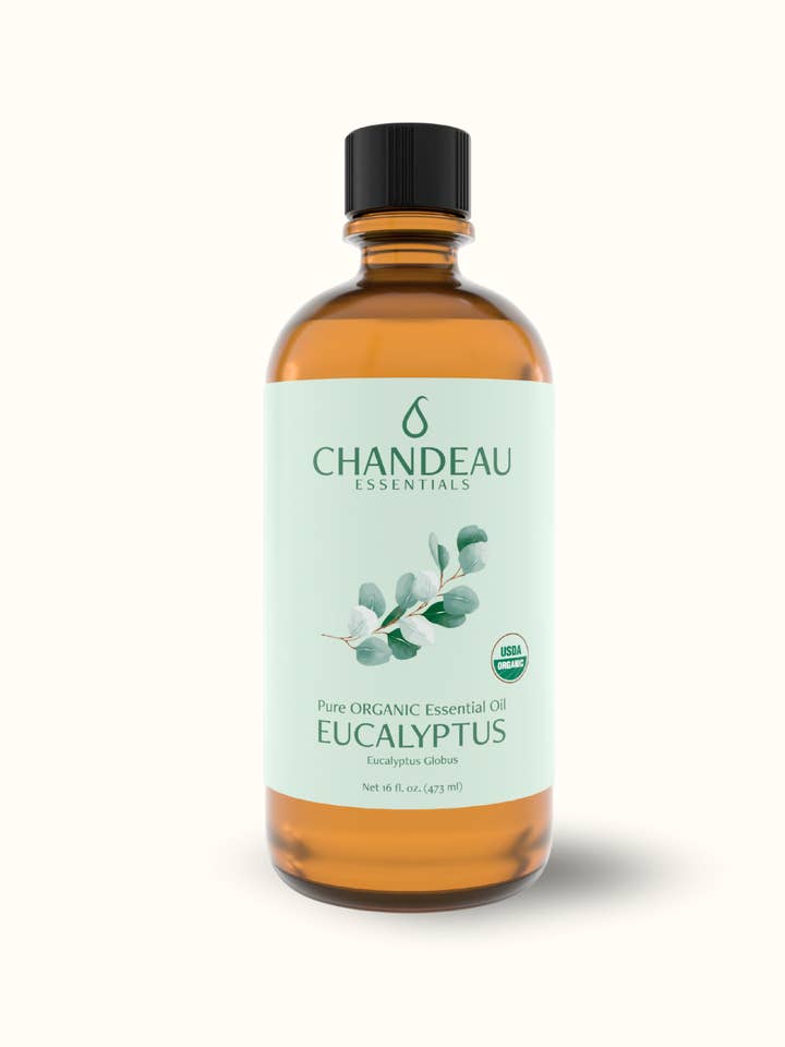 Huile essentielle d'eucalyptus biologique 16 oz | En vrac 100 % pure certifiée USDA pour la vente par Chandeau Essentials