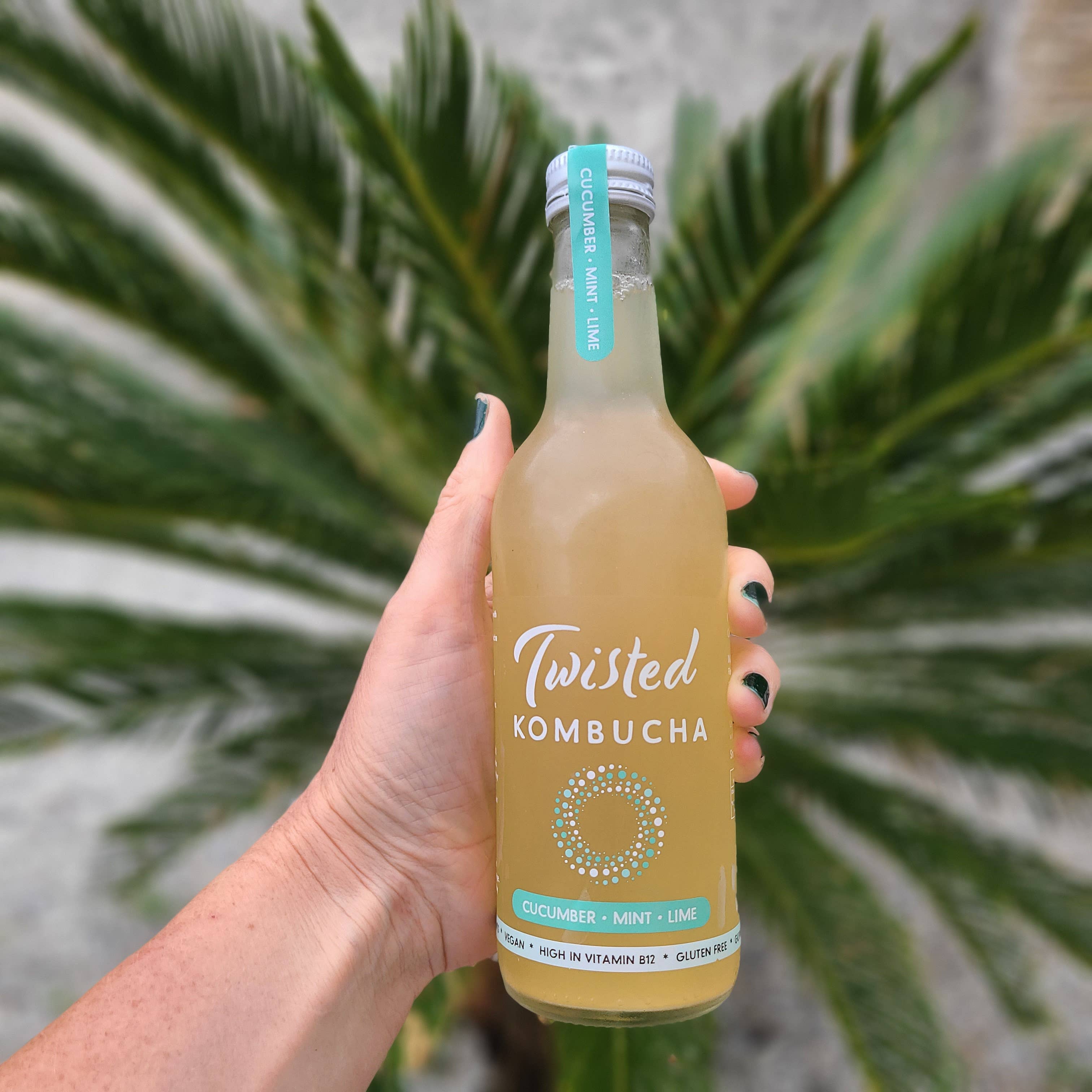 Twisted Kombucha – wholesale Kombucha – Twisted Kombucha - Cucumber, Mint & Lime1