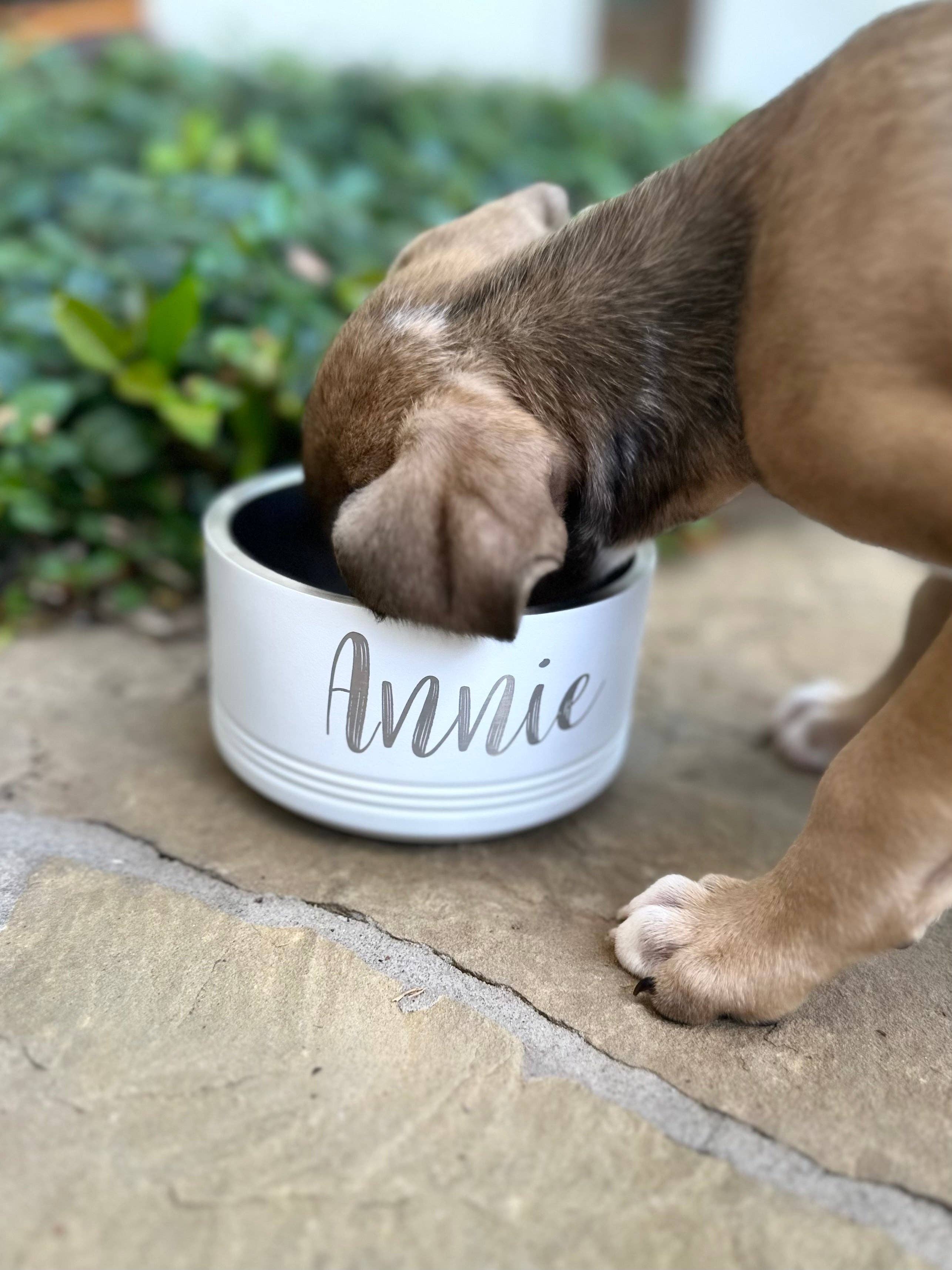 Annie Digs – wholesale Pet bowl – Cat/dog – Custom Dog Bowls1