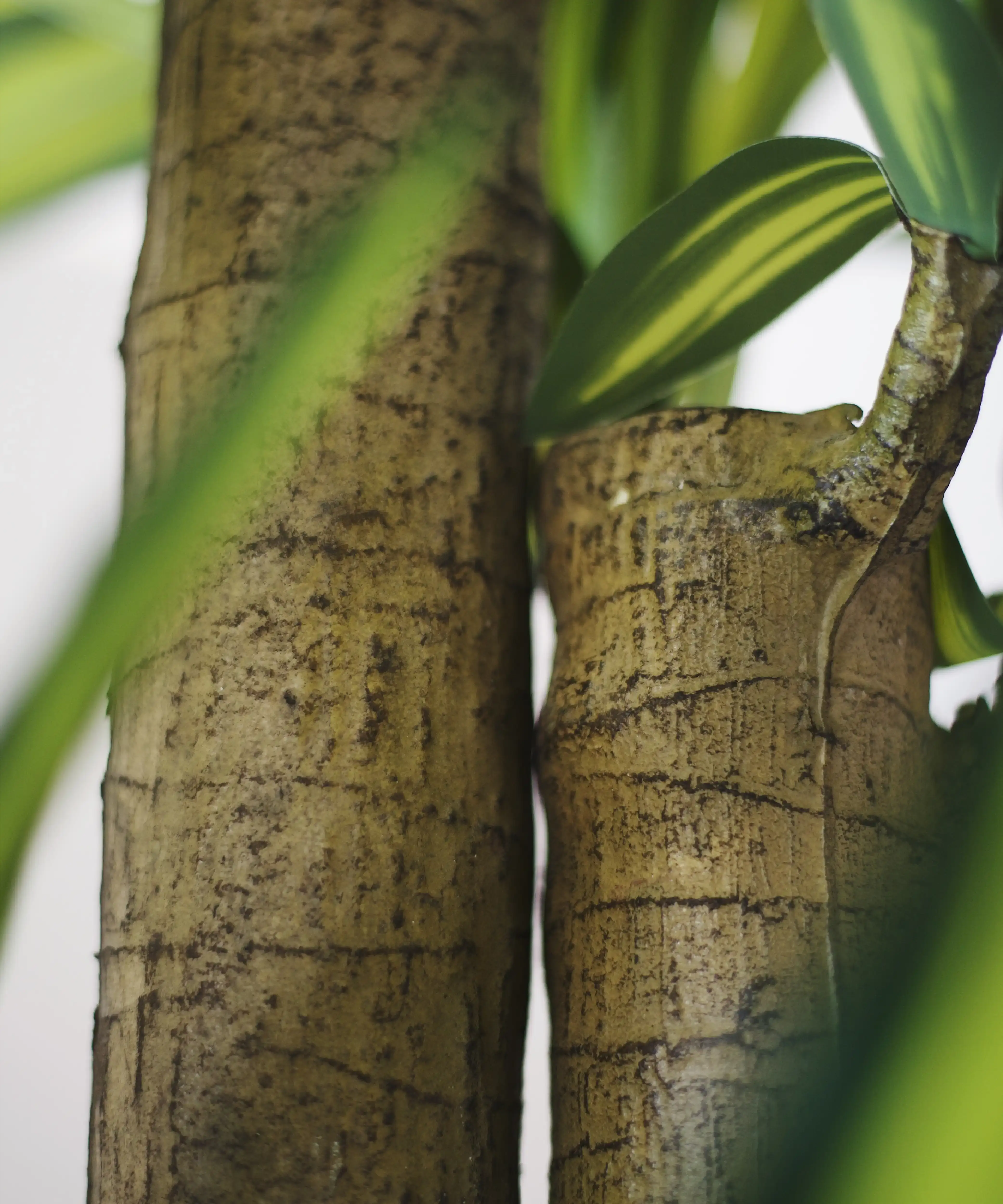 Maia Shop: No Duties for the US - Wholesale Artificial Plant - 4' Artificial Dracaena Tree2