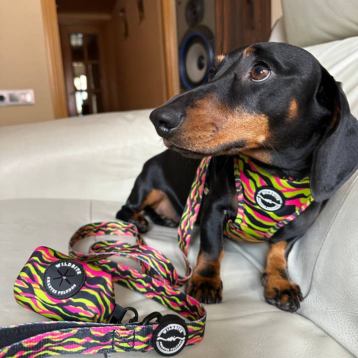 Wildbite Amantes Peludos - Wholesale Pet Harness - Dog - Pack StyleZebra5