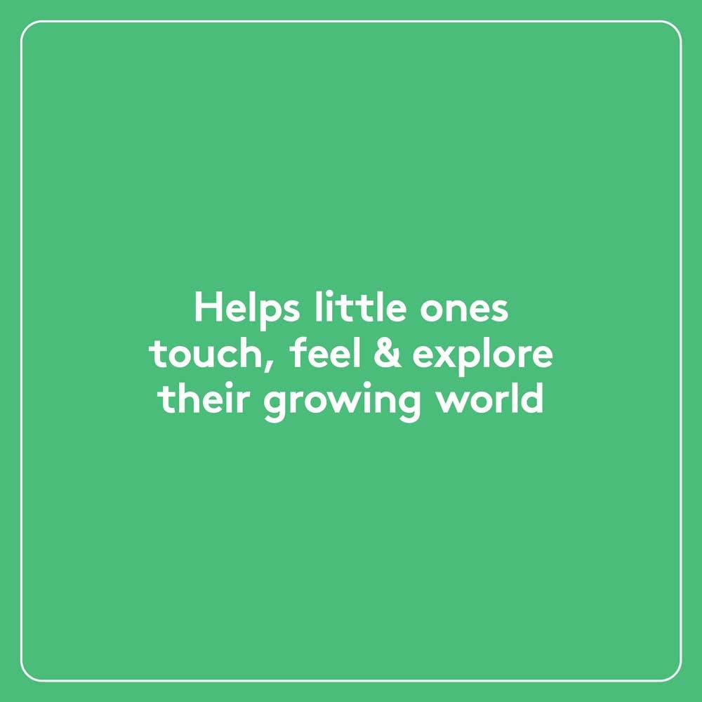 Chronicle Books - Wholesale Baby & Toddler Book (0-2) - Little Fir Tree: Finger Puppet Book11