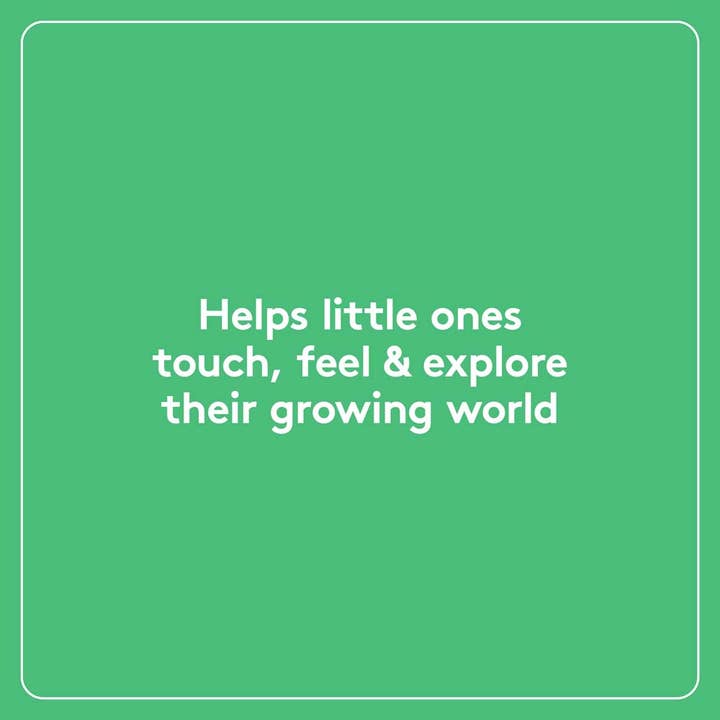 Chronicle Books - Wholesale Baby & Toddler Book (0-2) - Little Fir Tree: Finger Puppet Book11