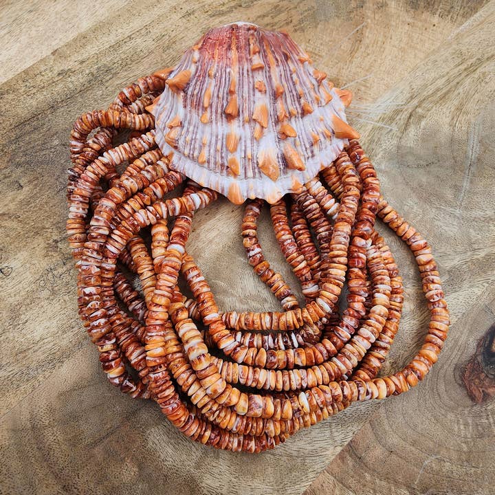Beads Creation - Wholesale Beads - Orange Spiny Oyster Shell Rondelle BeadsHigh Quality PRP833A1