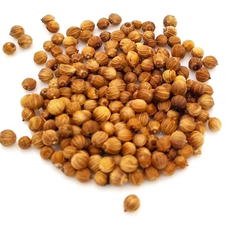 Whole Coriander Seeds 3.5 Lb Tub for wholesale by Saturiwa Trading Company