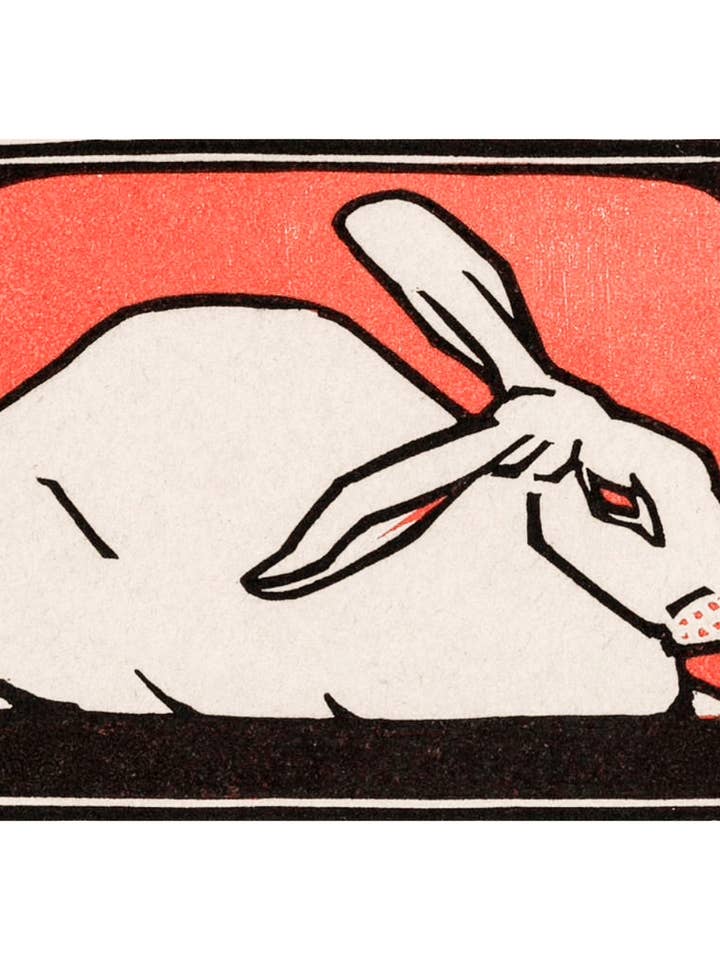 Coniglio su rosa per la vendita all'ingrosso da parte di Sweet Tree Cards