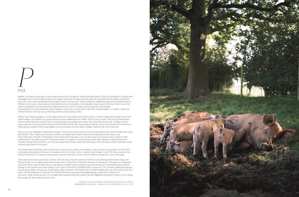 W. W. Norton - Wholesale Home & Garden - Soil to Table: Recipes for Healthy Soil and Food10