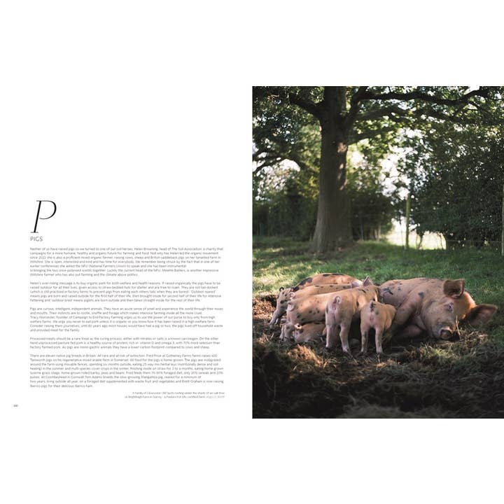 W. W. Norton - Wholesale Home & Garden - Soil to Table: Recipes for Healthy Soil and Food10