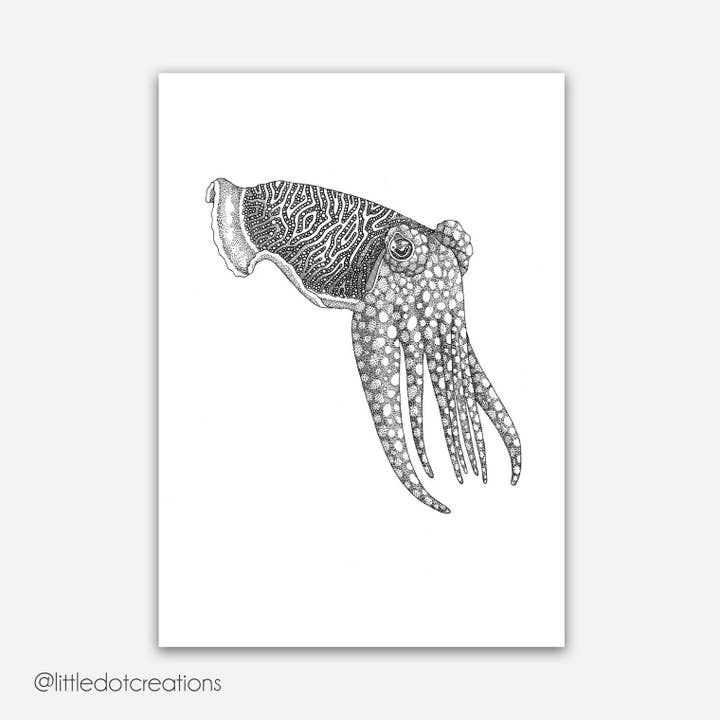 A4 Print - Cuttlefish for wholesale by Little Dot Creations