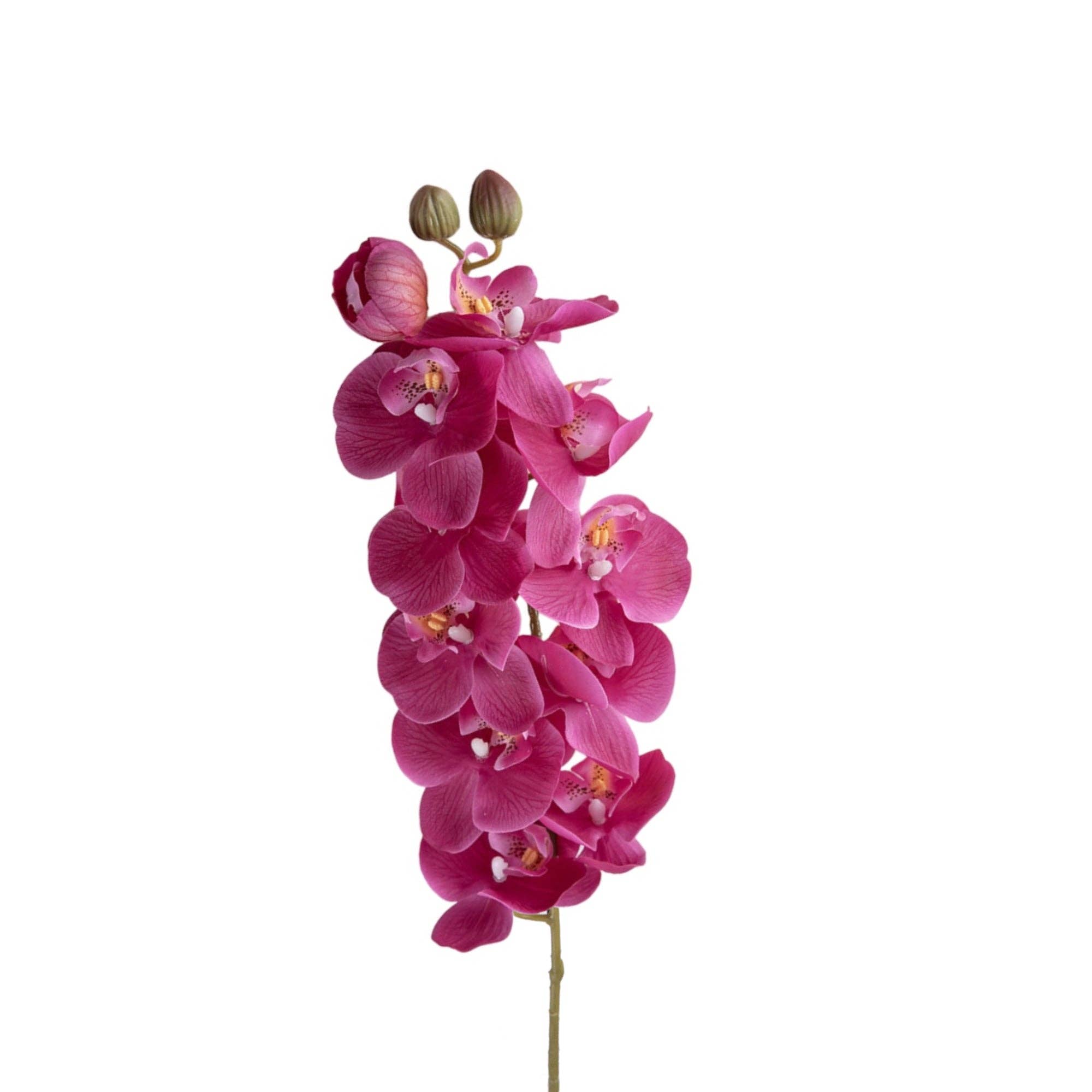 Sun Decorer - Wholesale Artificial flowers - Set of 2 Artificial Phalaenopsis Orchid Stems, 28 inches8