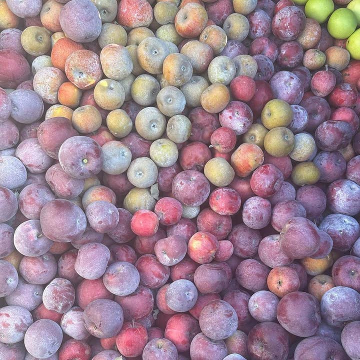 Little Long Ears Provisions - Venta al por mayor Vinagre - Vinagre de sidra de manzana3