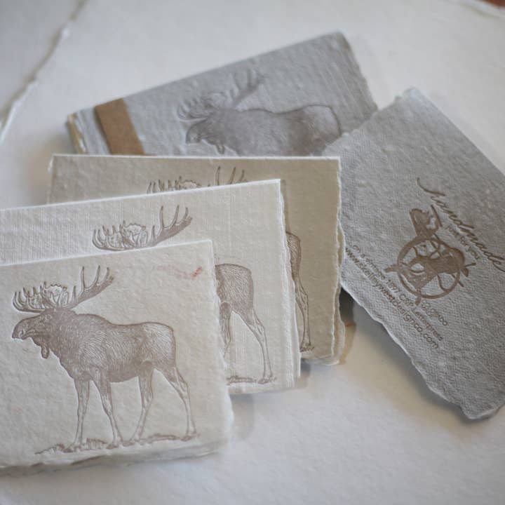 skelley west design co + letterpress - Wholesale Stationery/Notecard Set - Letterpress card pack | handmade paper | moose3