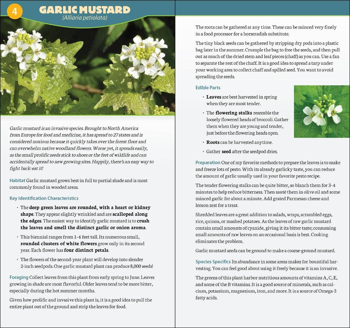 AdventureKEEN - Vente Nature et plein air - Fourrager en Amérique du Nord Guide rapide3