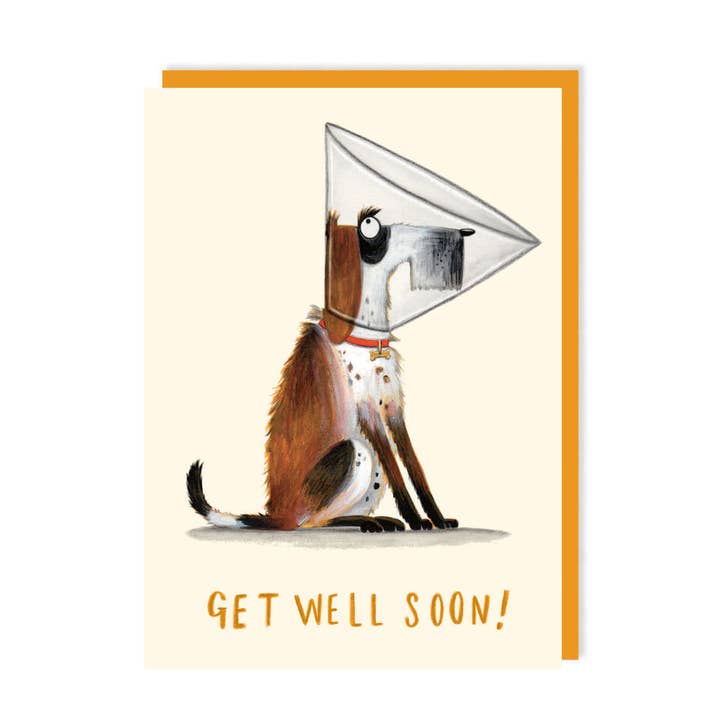 Charley Rabbit Cards – wholesale Get well card – Get Well Soon Card | Funny Dog Get Well Soon Greeting Card 0
