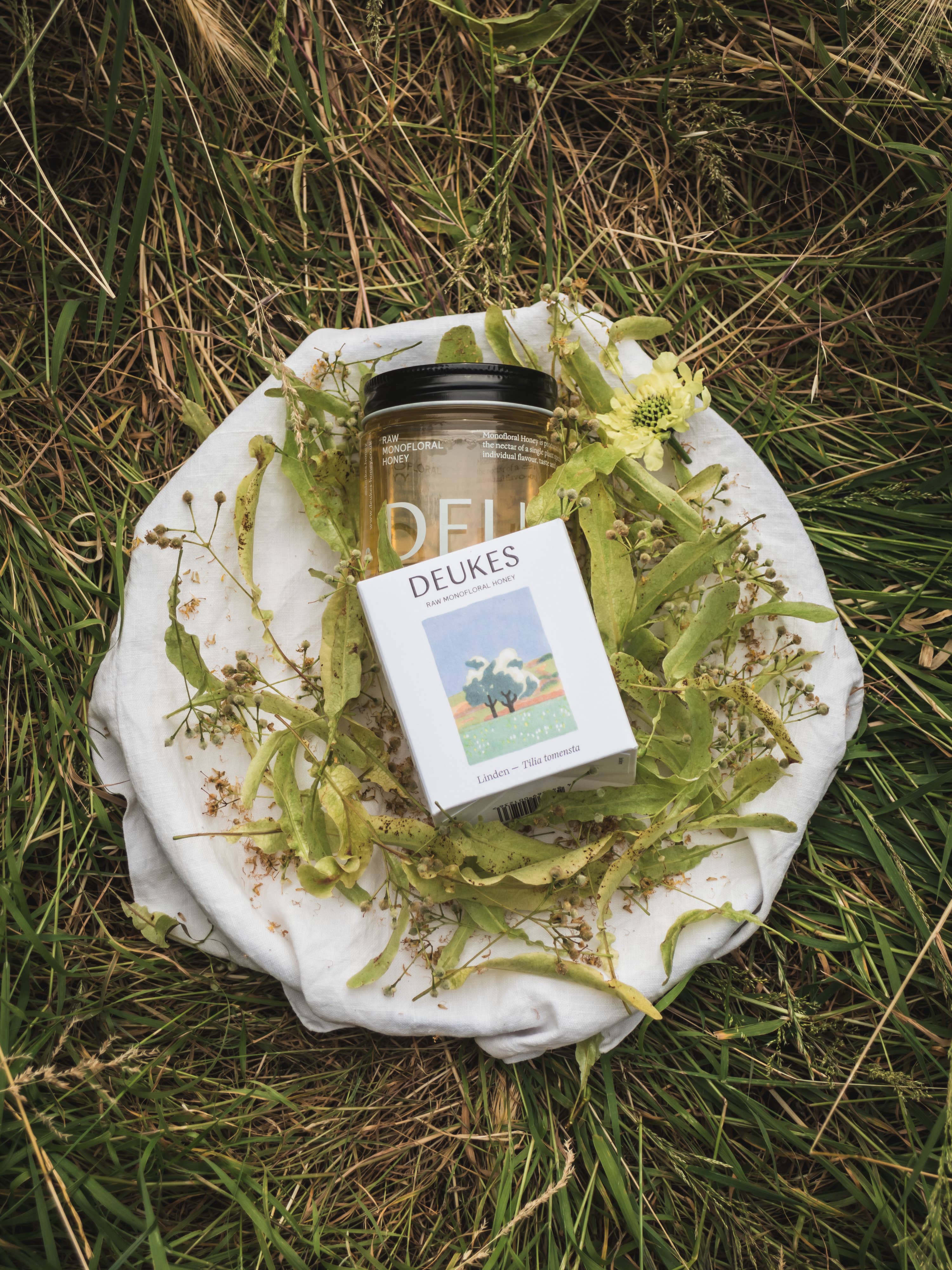 DEUKES - Wholesale Honey - Raw Monofloral Linden Honey5