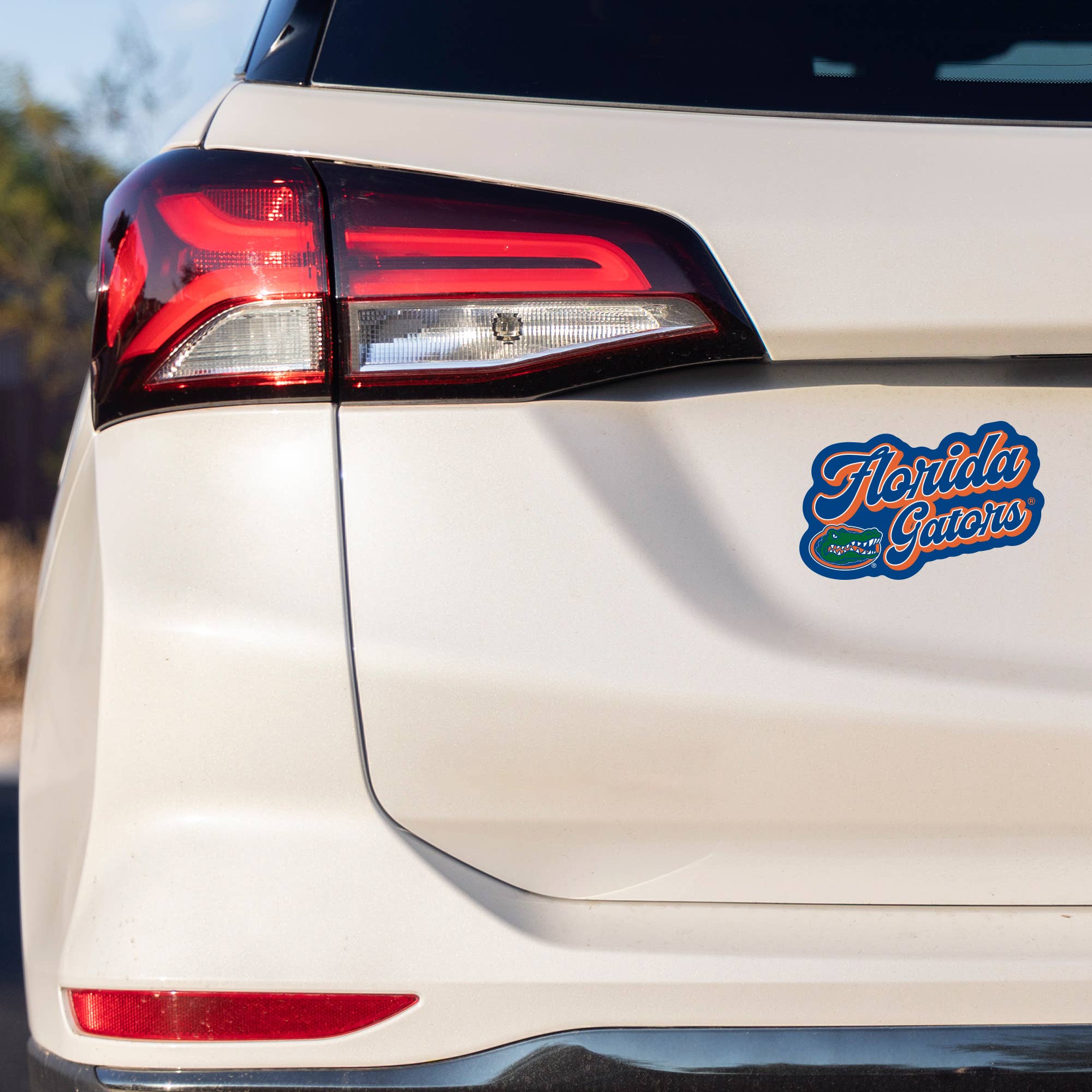 Rico Industries - Wholesale Car Decorative Charm - Unisex - NCAA  South Carolina Gamecocks Vintage Look 4" X 6" Decal1