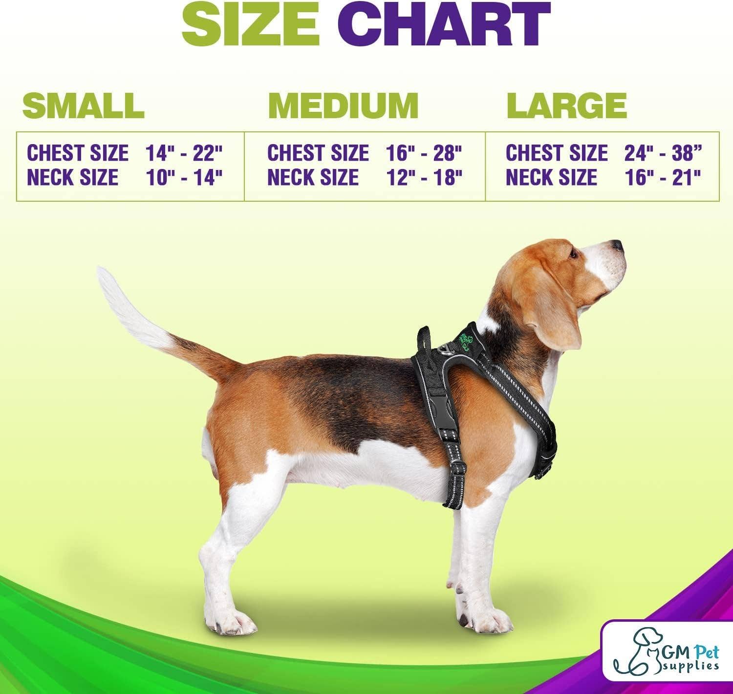 Katziela - Wholesale Pet Harness - Dog - Dog Harness Walking kit and Leash Set24