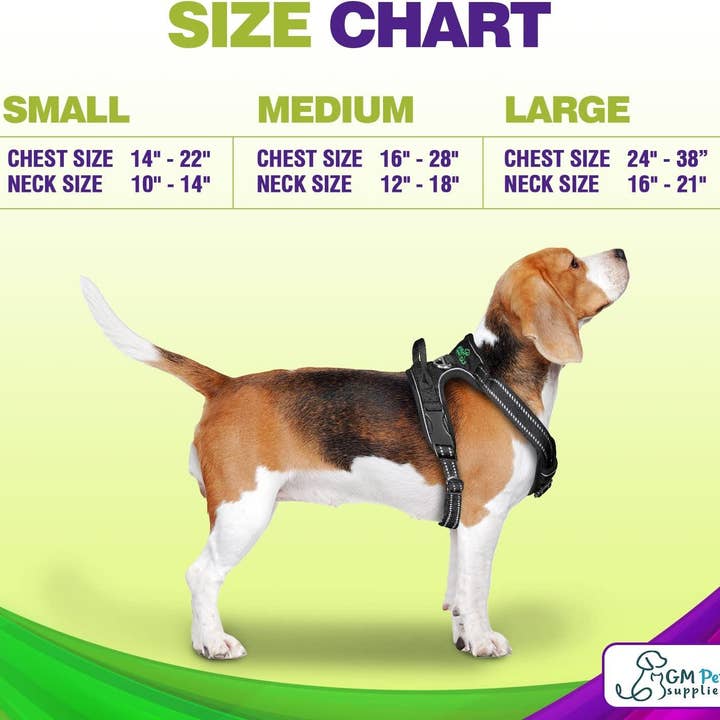 Katziela - Wholesale Pet Harness - Dog - Dog Harness Walking kit and Leash Set24