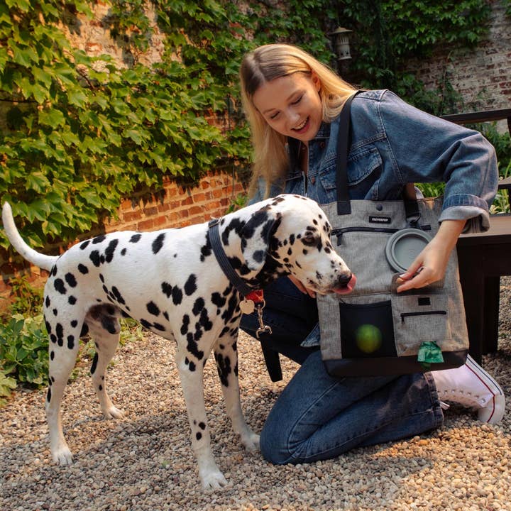 Cleverpup - Wholesale Pet Treat Bag - Dog - Park Pack Dog Gear Tote:Travel Bowl, Treat Pouch, Toy Pocket15