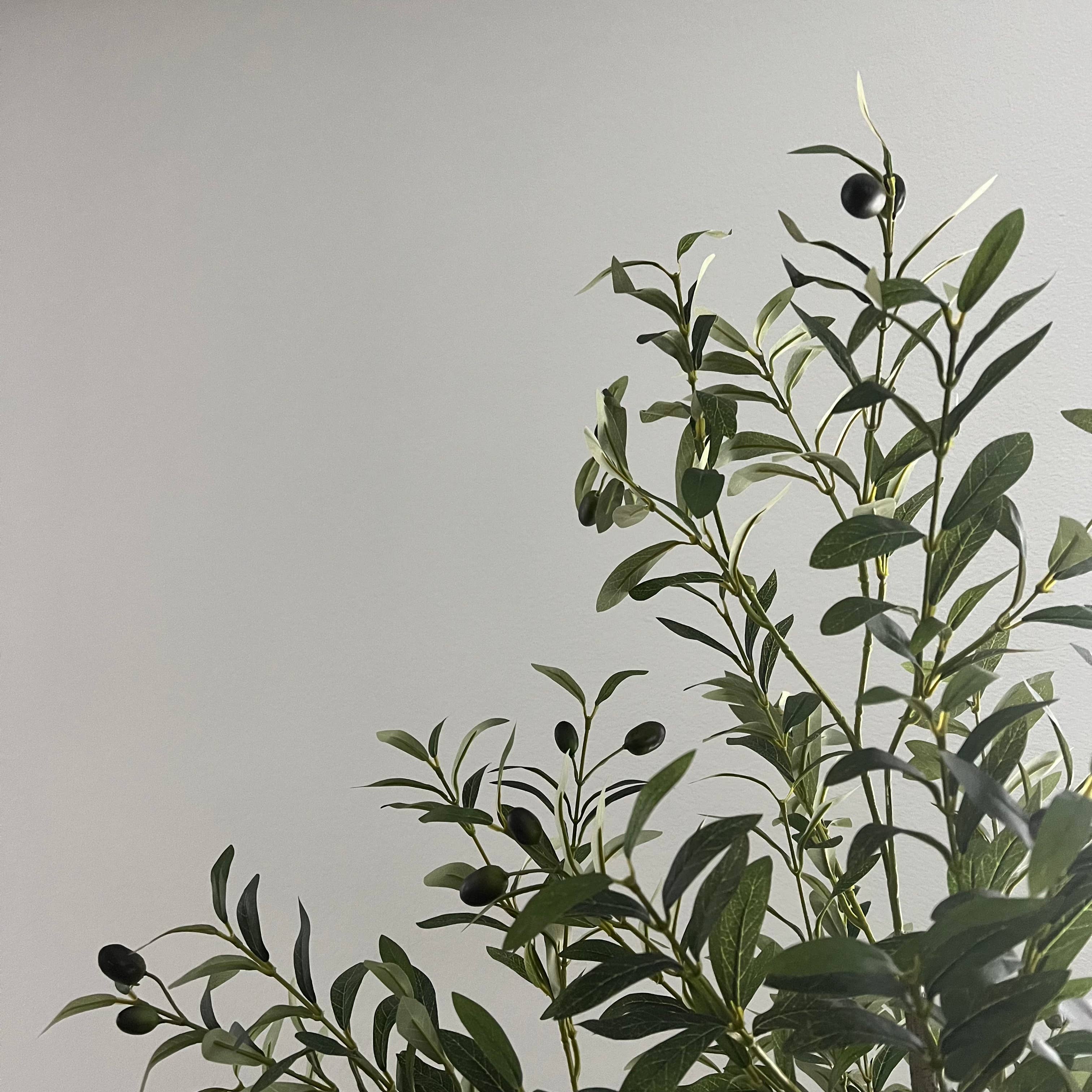 Delmar Decor – wholesale Artificial plant – Artificial Olive tree, 6ft Potted tree5