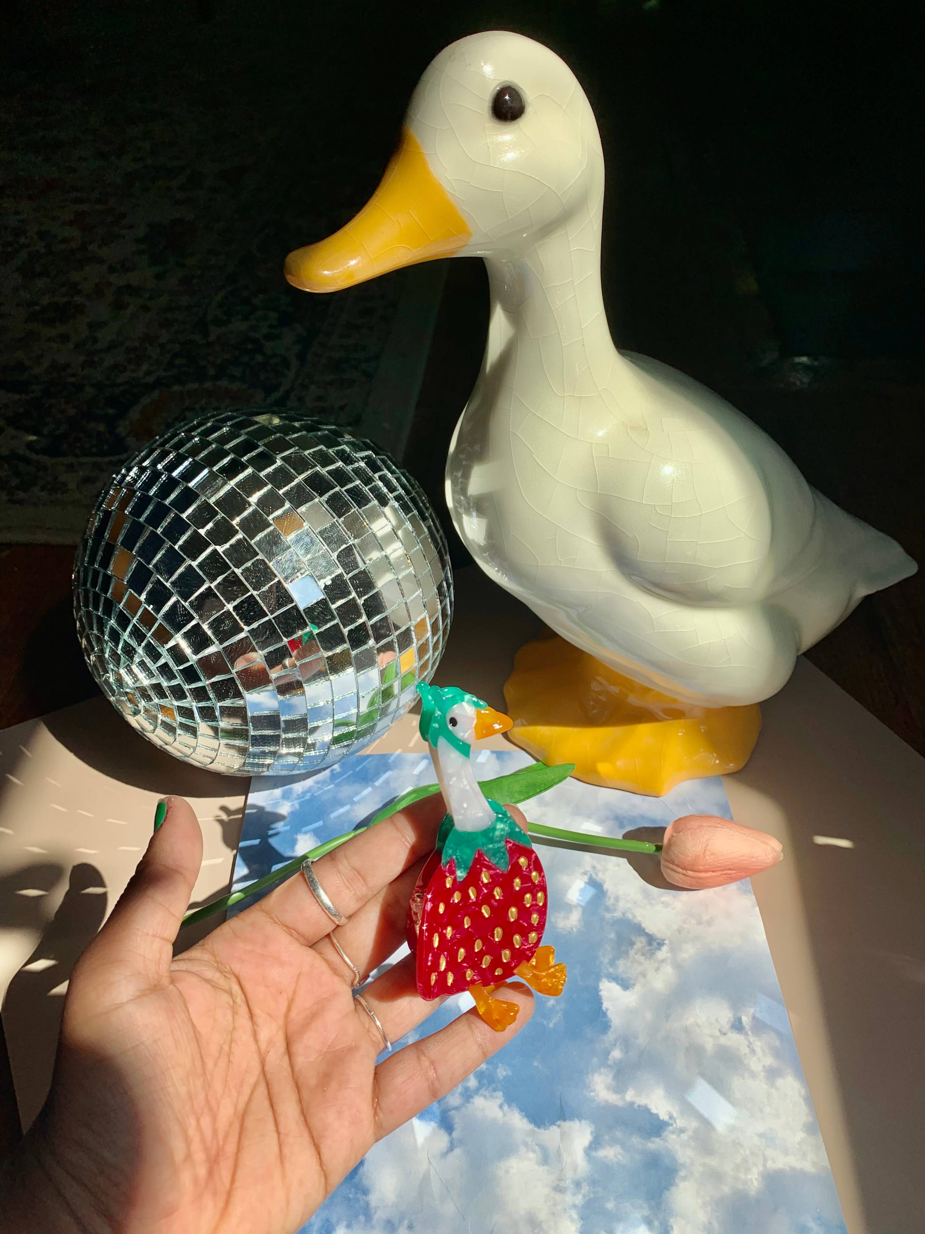 Not Picasso - Wholesale Hair Clip - Women's - Gooseberry Hair Claw5