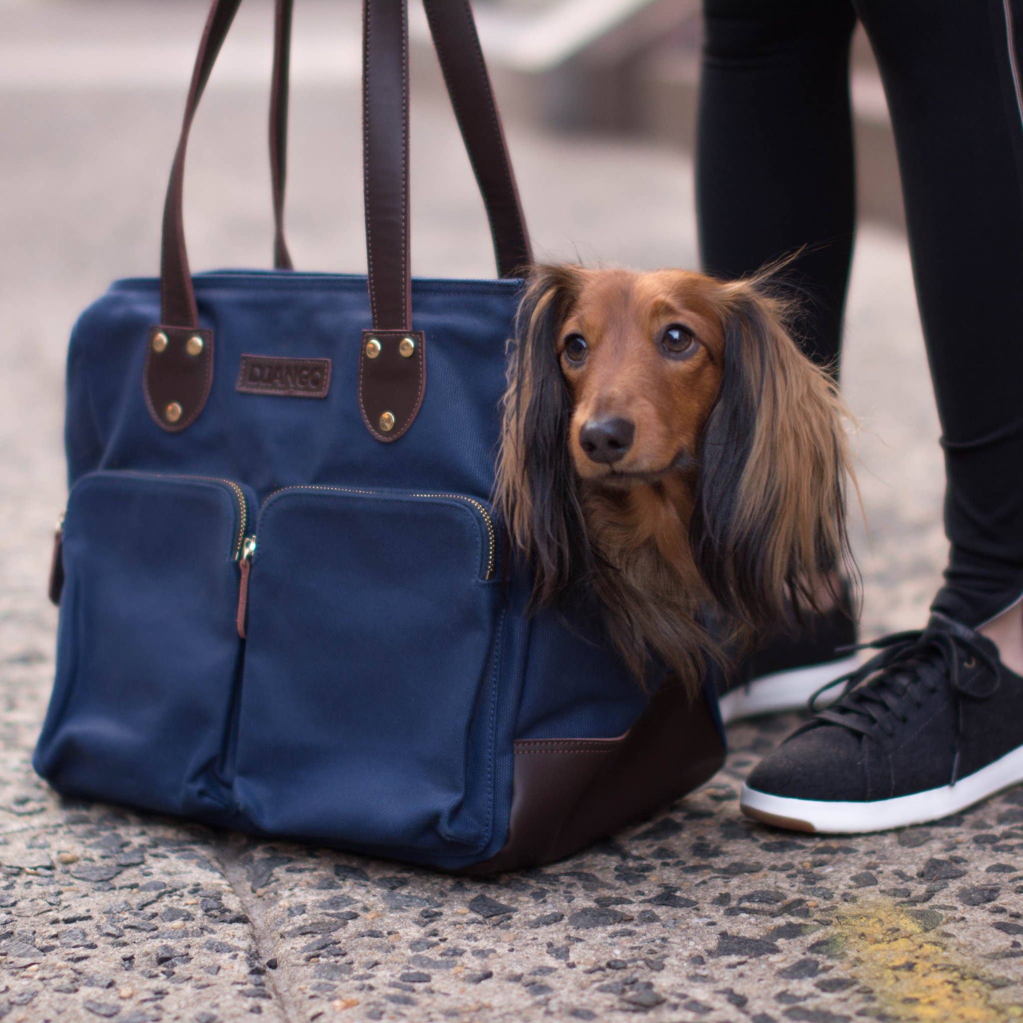 DJANGO - Wholesale Pet Carrier - Dog - Dog Carrier Bag - Navy Blue Waxed Canvas and Leather7