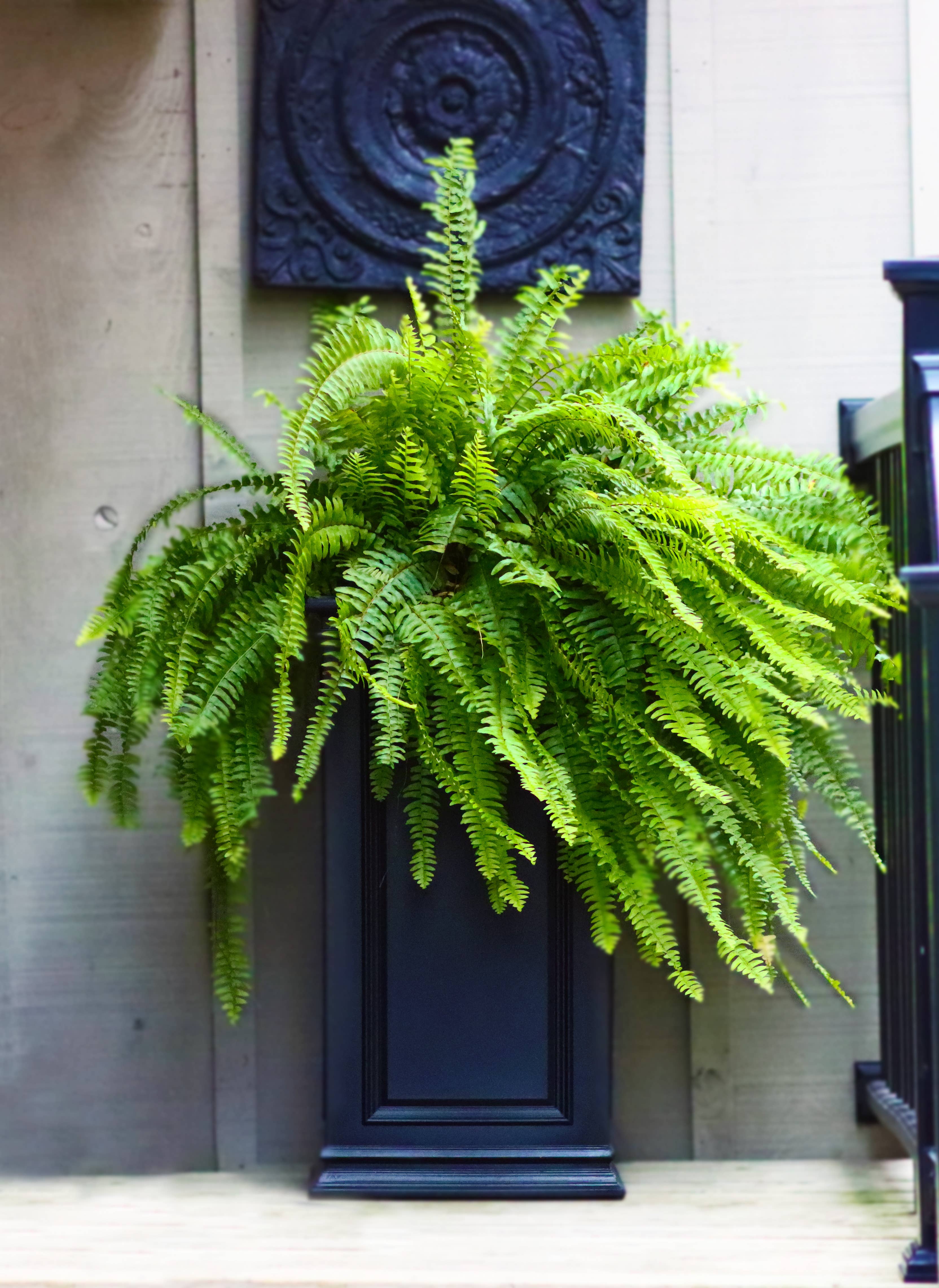 Algreen - Wholesale Planter Box - 27" Covington Pillar Self-Watering Planter8