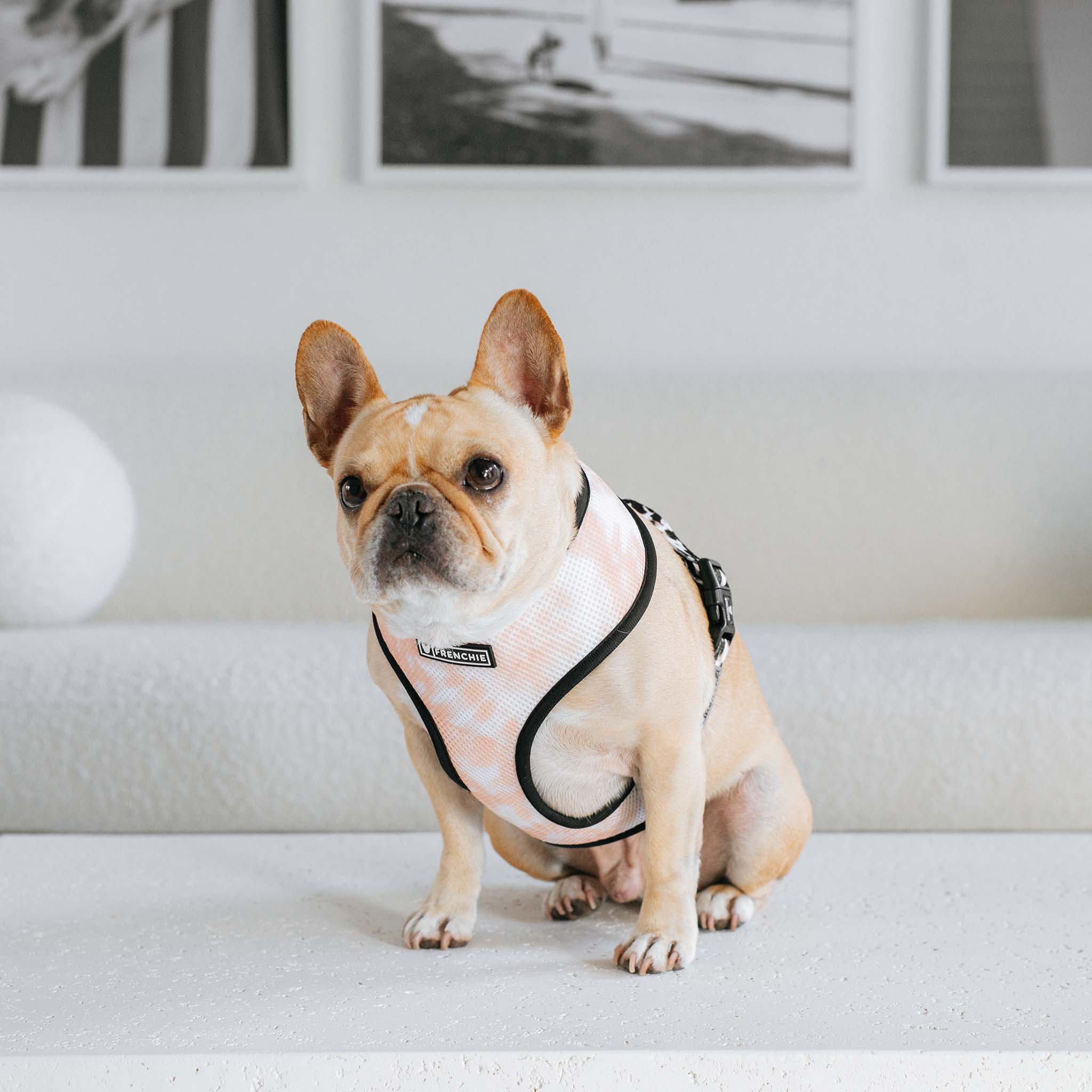 Frenchie – wholesale Pet harness – Dog – Frenchie Duo Reversible Harness - Earthy Tie Dye6