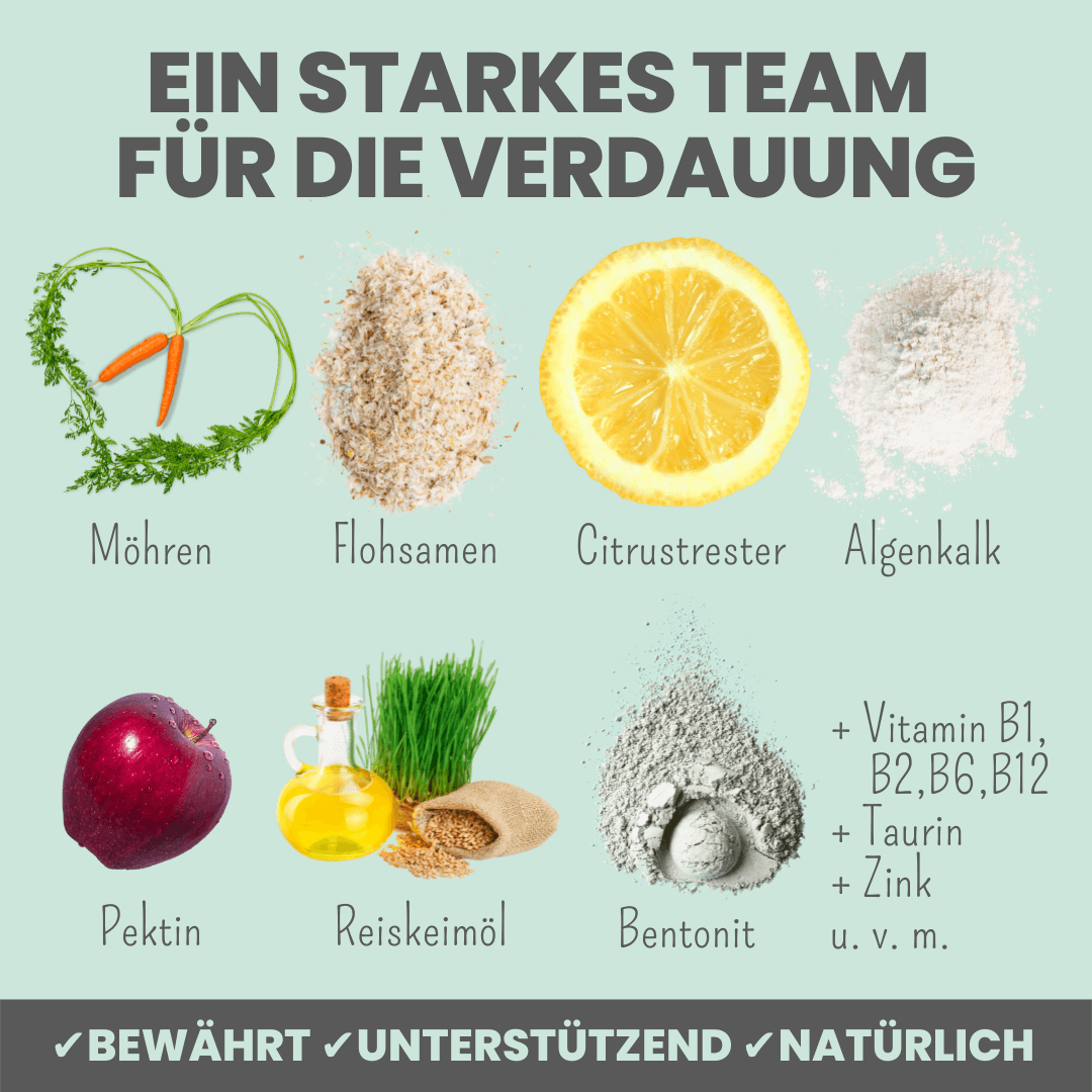 Noms+ - Wholesale Pet Supplement - Dog - Digestive mix for dogs as a prebiotic for stomach & intestinal flo4