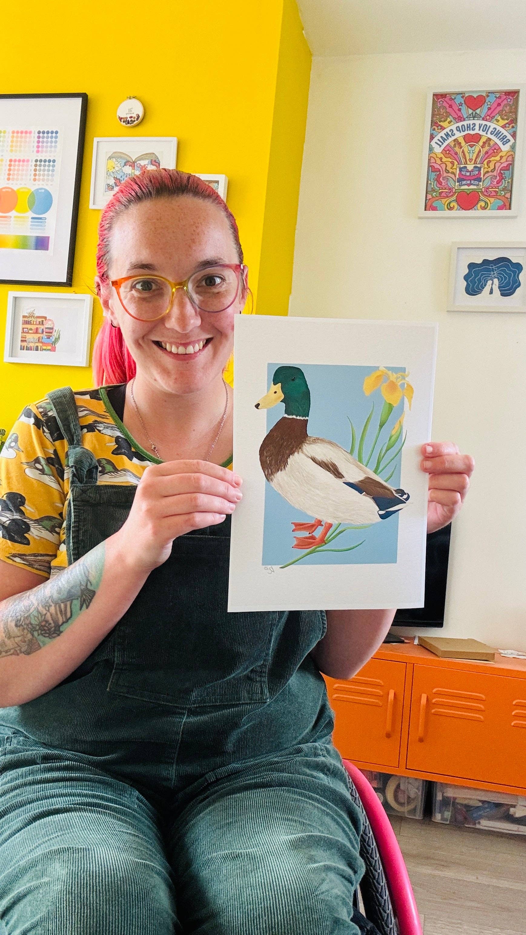 Pixiecraft - Wholesale Art Print - Mallard Duck Art Print- British Wildlife Illustration for Nature Lovers6