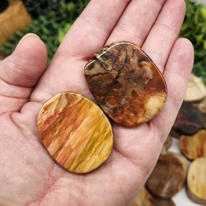Meraki Gemstones – Engroshandel Spirituelle sten og krystaller – Forstenet træ flade glatte sten (0,5 kg/1,1 lbs) -45x35x7mm