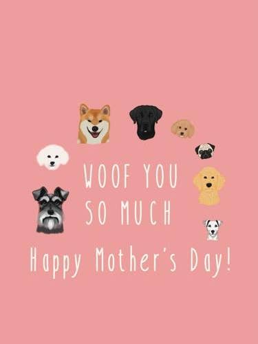 Ti abbaio tanto per la vendita all'ingrosso da parte di Sassy Jac