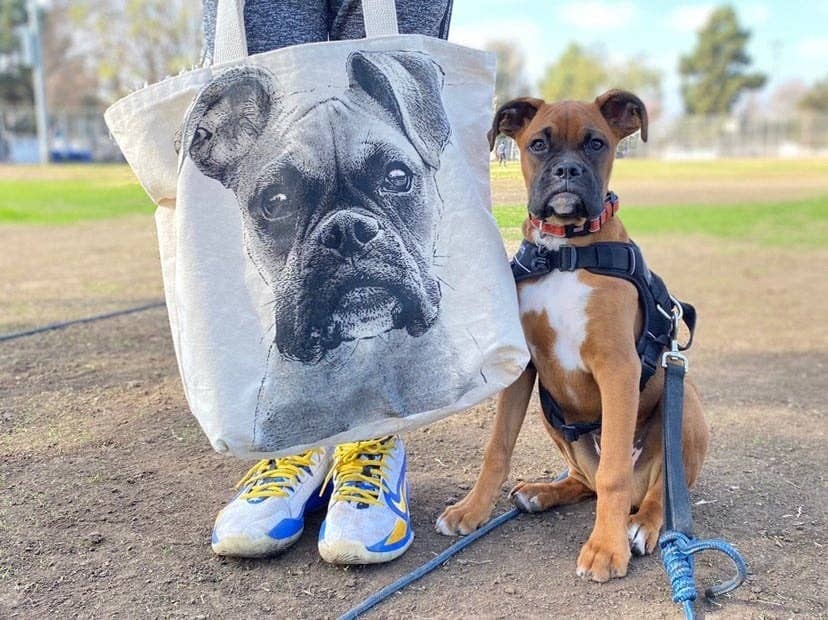 Eric & Christopher - Wholesale Tote Bag - Unisex - Boxer Large Tote2