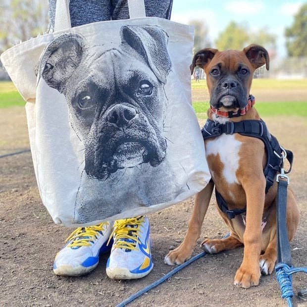 Eric & Christopher - Wholesale Tote Bag - Unisex - Boxer Large Tote2