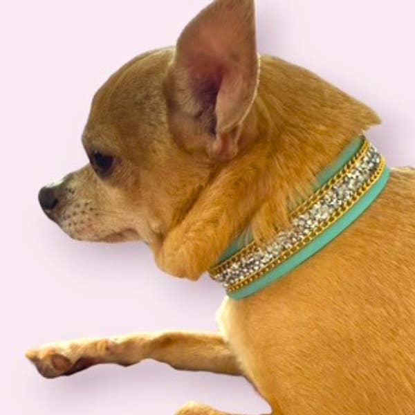 Bark Fifth Avenue - Wholesale Pet Collar - Cat/Dog - The Monte Carlo Collar in Sniffany Blue6