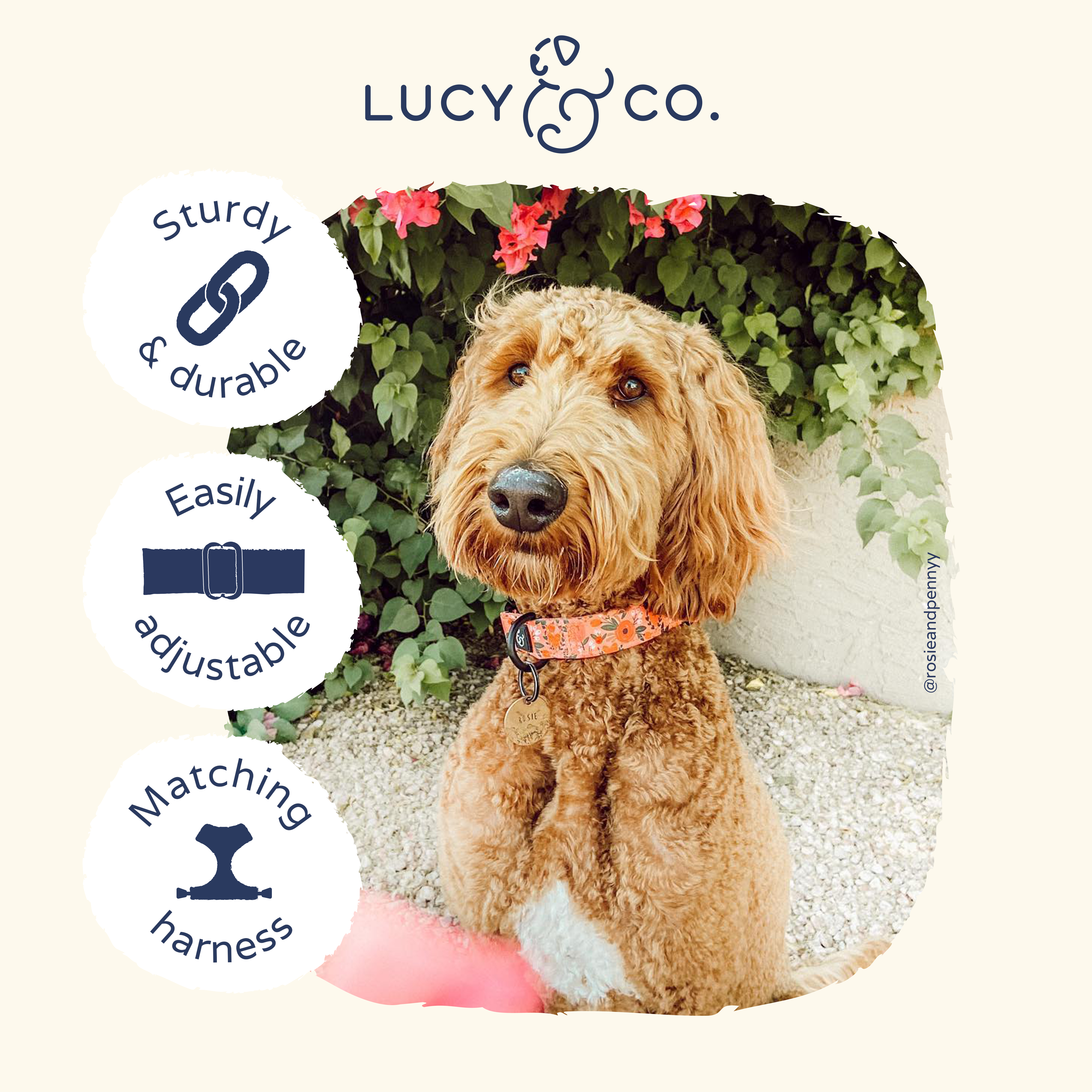 Lucy & Co. – Großhandel Haustierhalsband – Hund – Posy Rosa Halsband3