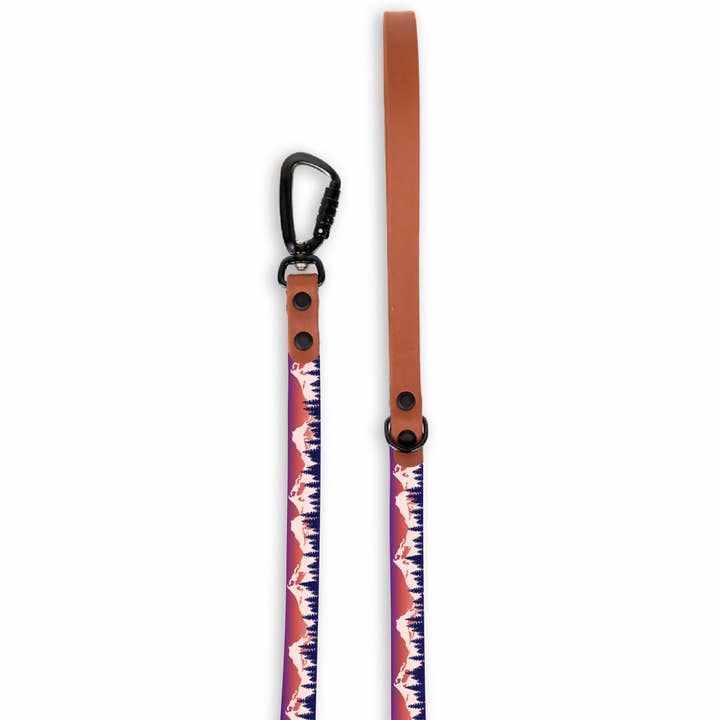 Alpenglow Dog Leash for wholesale by Gray and Hound