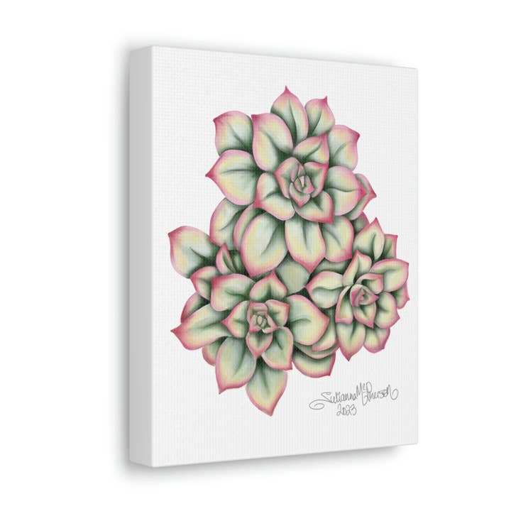 Kiwi Succulent - 8x10 Canvas Art Print - Canvas Gallery Wraps for wholesale by Art By: Julianna McPherson