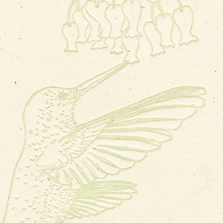 Hummingbird Manzanita Grove • Tarjeta tipográfica para venta al por mayor de Justina Freel