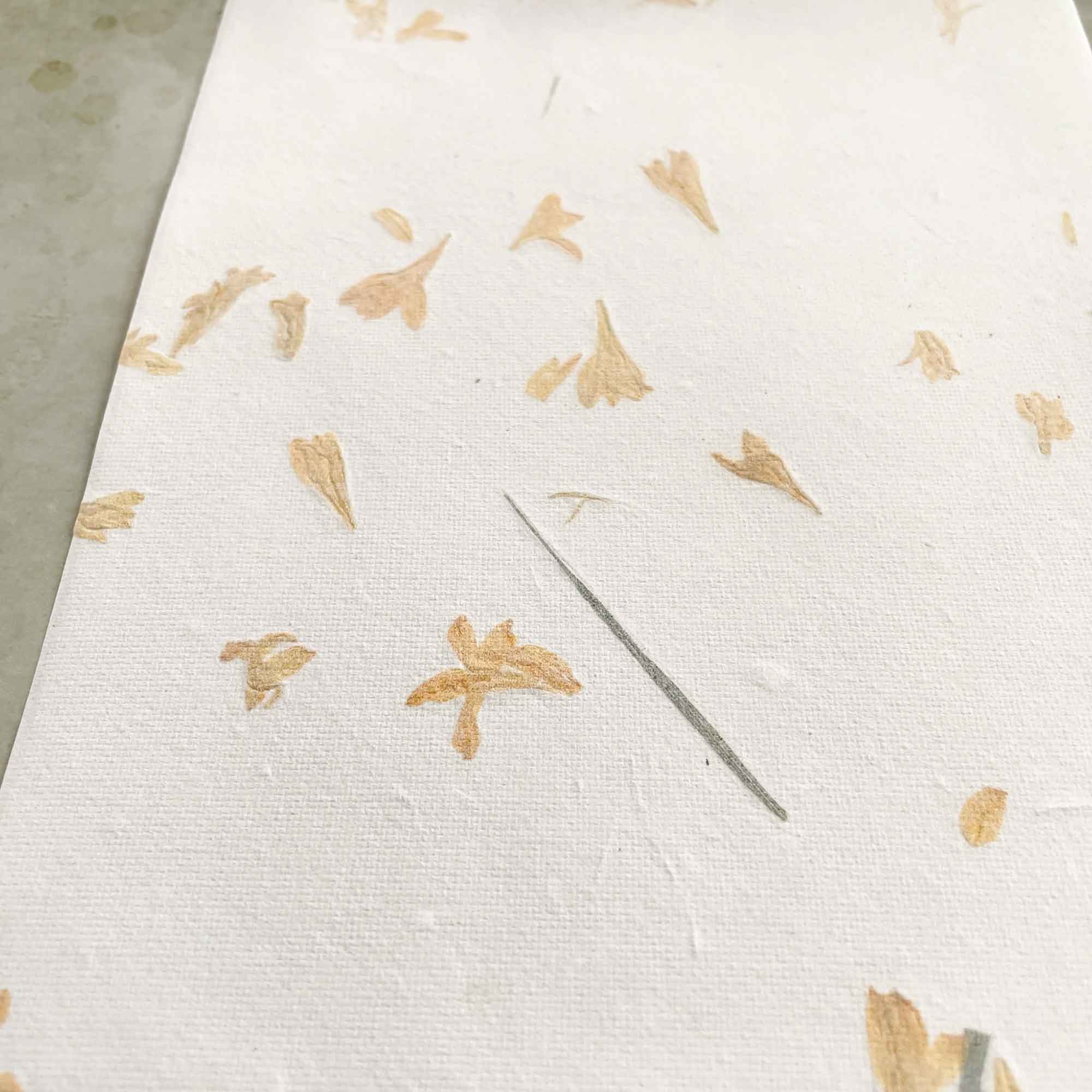 The Natural Paper Company – wholesale Stationery/notecard set – Gaillardia - Flower Handmade Paper and Envelopes | Recycled 12