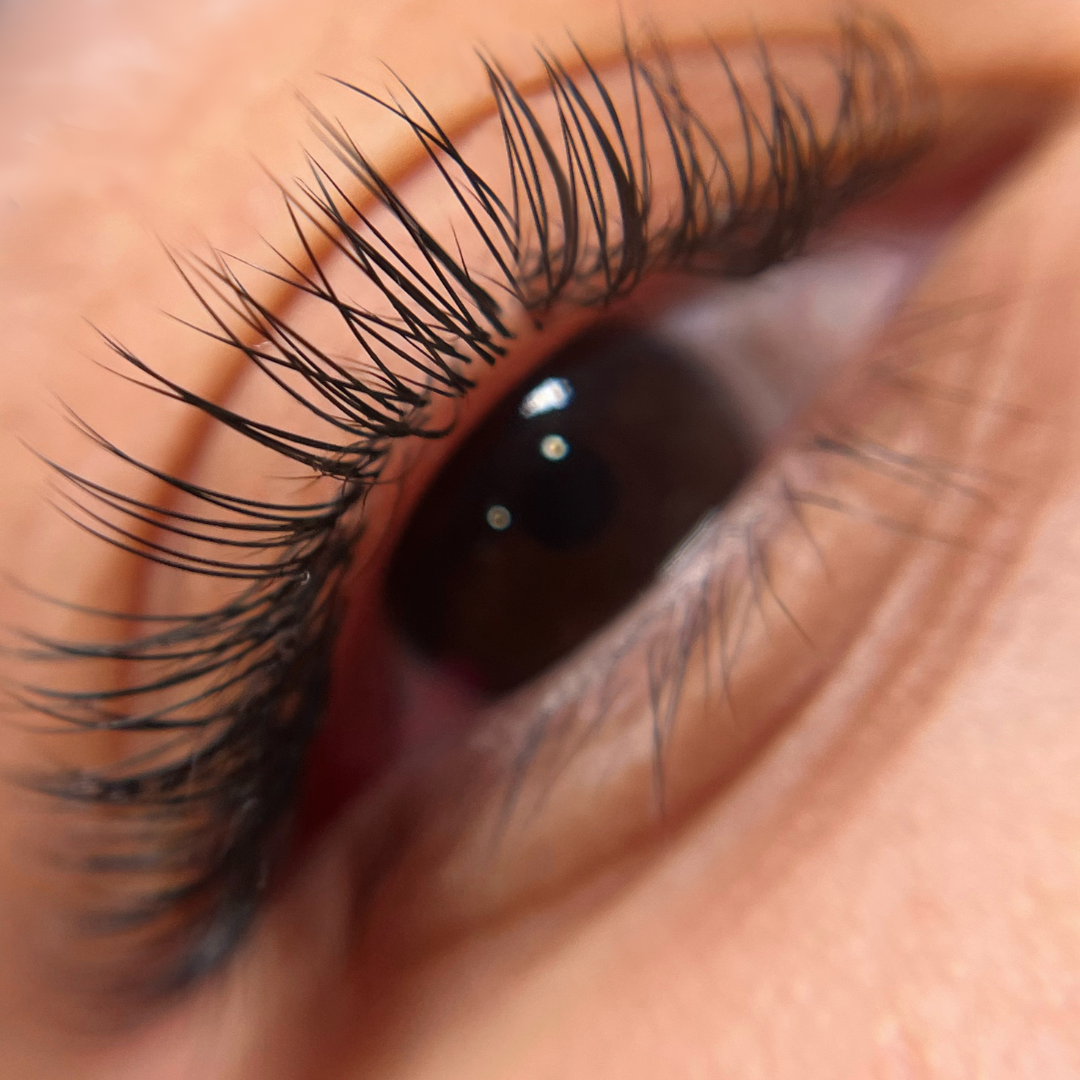 GladGirl – Großhandel Künstliche Wimpern – Signature Nerzwimpernverlängerungen – Klassisch - 0,15 mm7