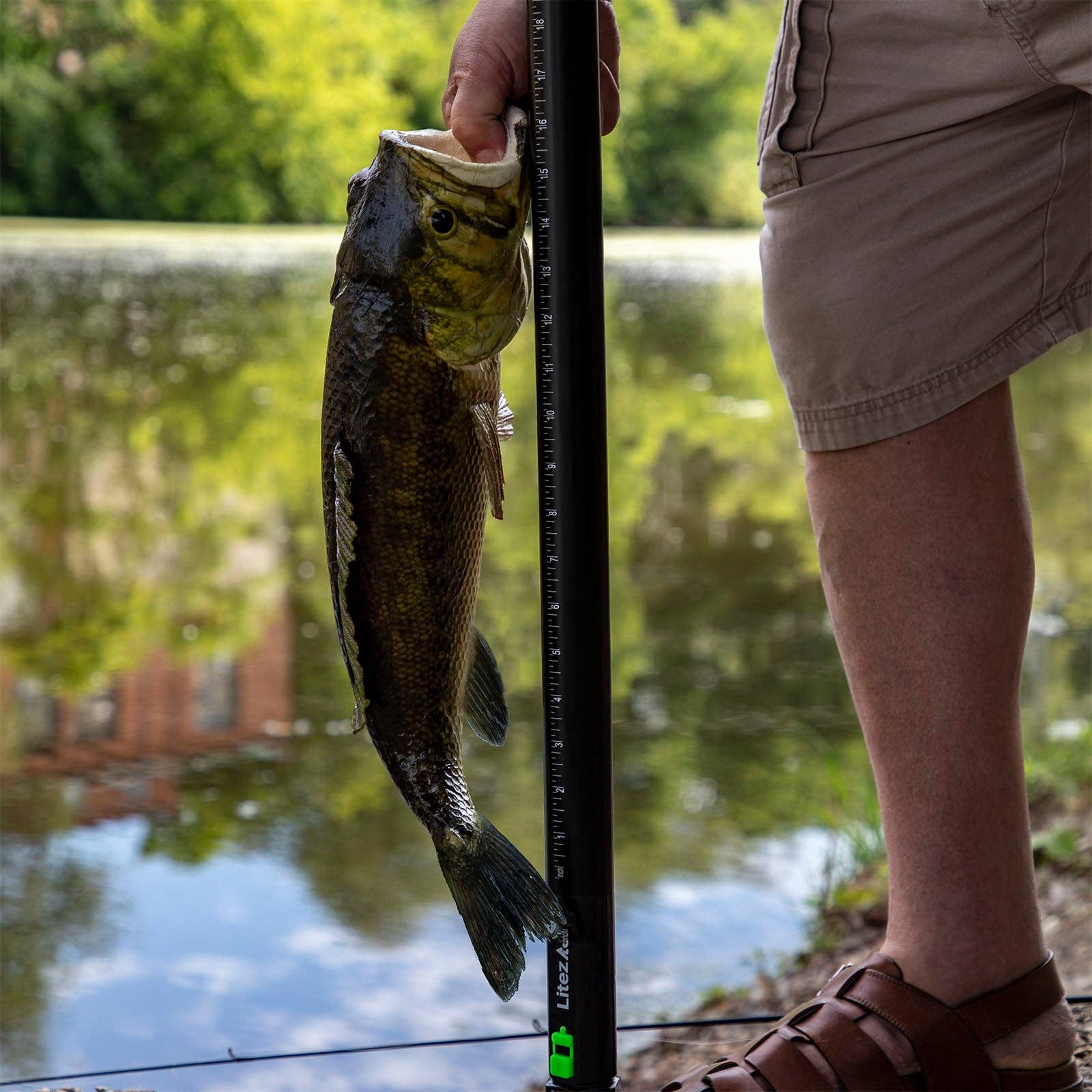 LitezAll - Wholesale Flashlight - LitezAll Bigger Better Brighter Rechargeable Flashlight10